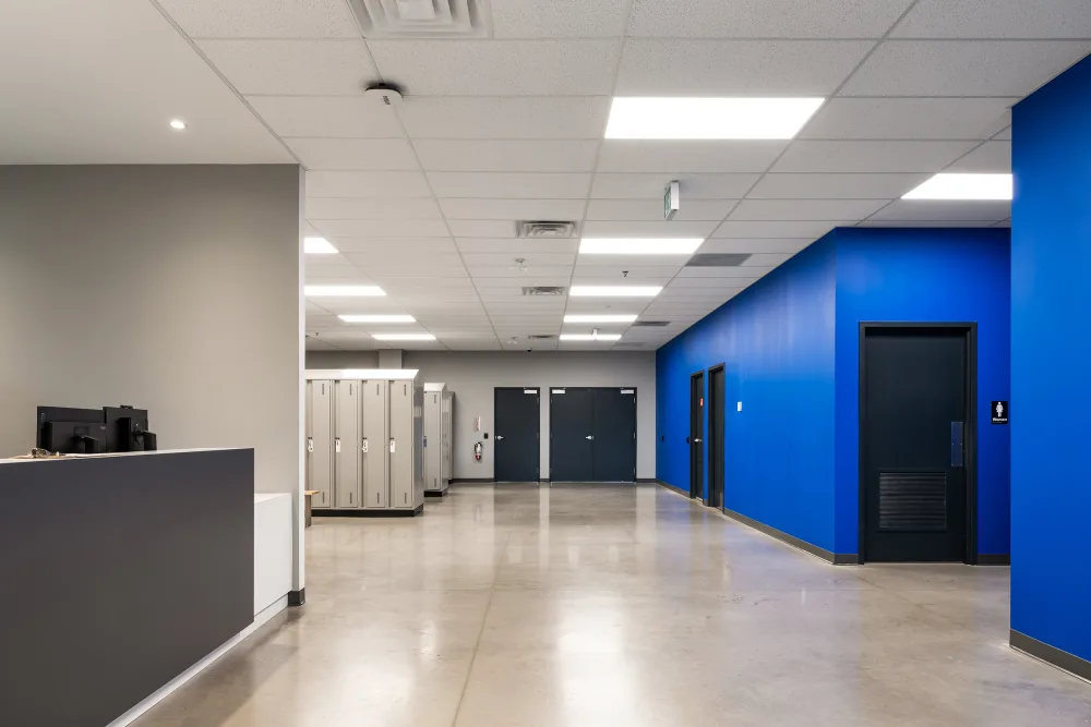 Broccolini Rona 5 8615