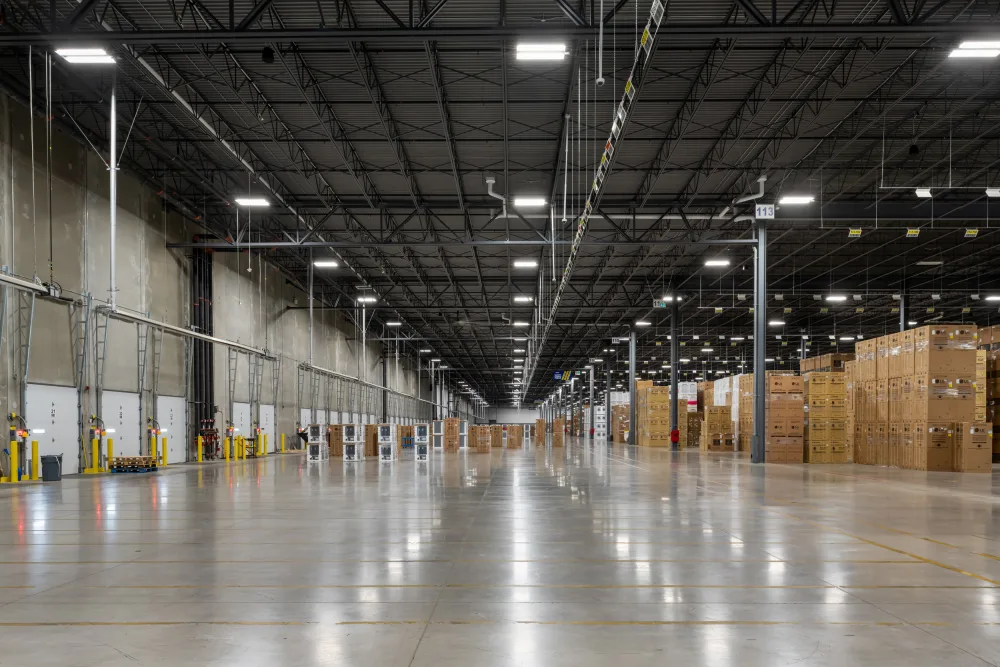 Broccolini Rona 8 8751