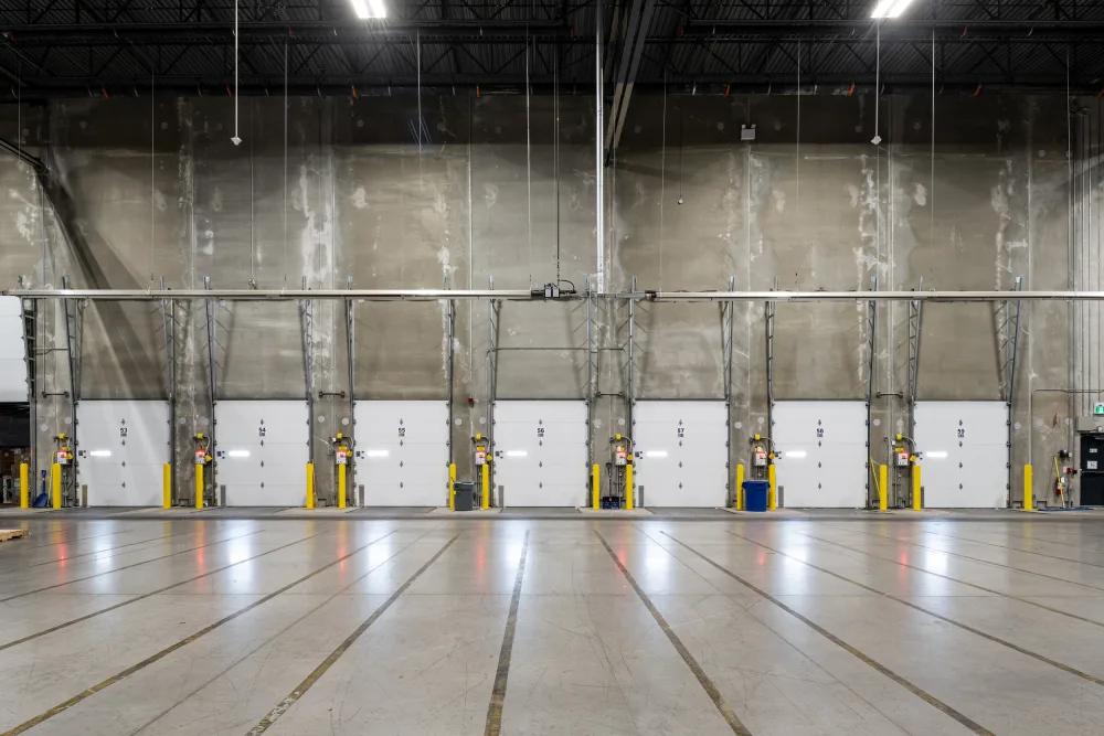 Broccolini Rona 11 9029