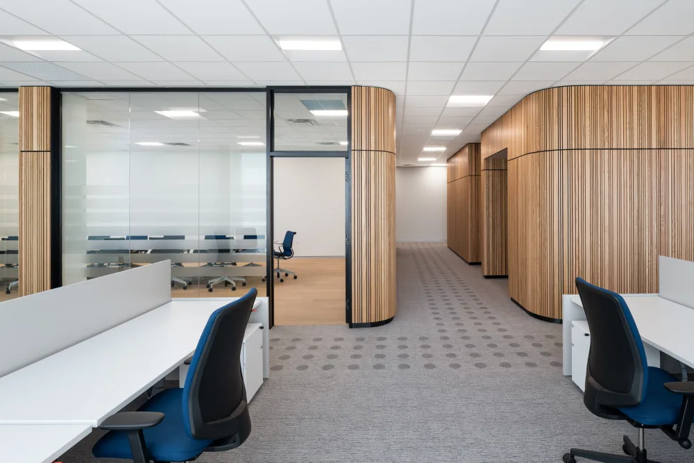 Broccolini DSV 8973a