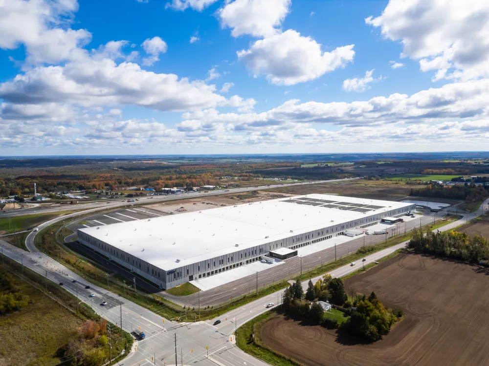 Broccolini DSV 0205 L