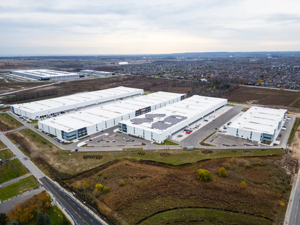 Broccolini 6712 Fifth Line 0696