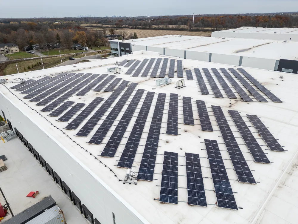 Broccolini 6712 Fifth Line 0632